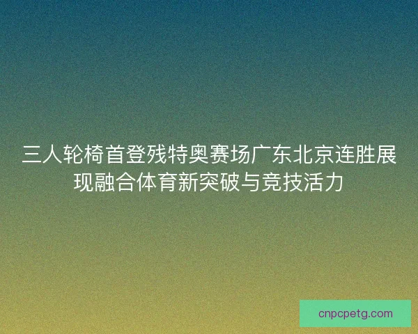 三人轮椅首登残特奥赛场广东北京连胜展现融合体育新突破与竞技活力